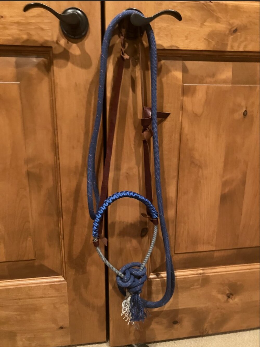 Blue Loping Hackamore With Loop Reins